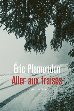 Aller aux fraises - Eric Plamondon - critique du livre