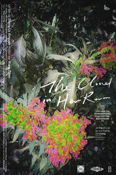 The Cloud in Her Room - Zheng Lu Xinyuan - critique