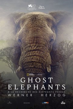 Ghost Elephants - Werner Herzog - critique