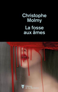 La fosse aux âmes - Christophe Molmy - critique du livre