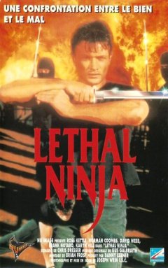 Lethal Ninja - la critique du film
