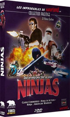 Coffret Ninjas chez Artus et Nanarland