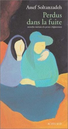 Perdus dans la fuite - Assef Soltanzadeh - critique