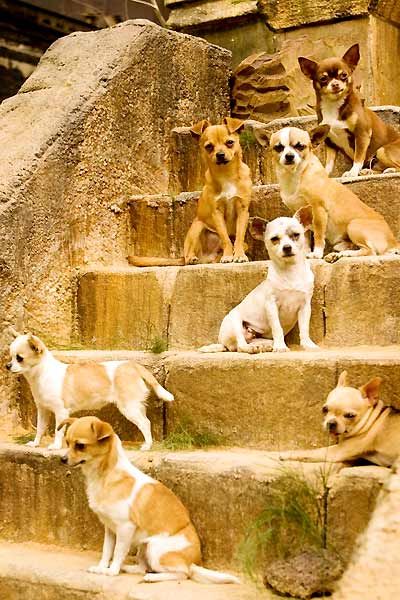 © Walt Disney Studios Motion Pictures France