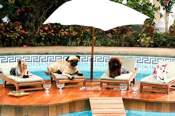 © Walt Disney Studios Motion Pictures France