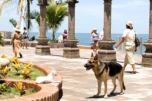 © Walt Disney Studios Motion Pictures France