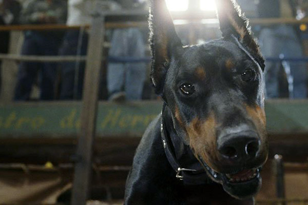 © Walt Disney Studios Motion Pictures France