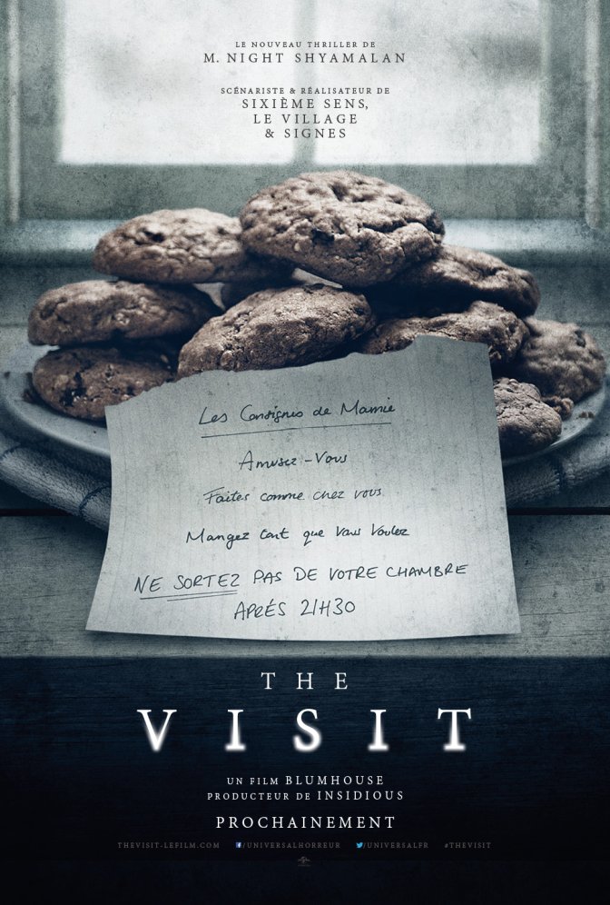 the visit synopsis complet