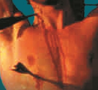 Sebastiane - Derek Jarman - critique