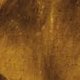 Caligula - Tinto Brass - critique