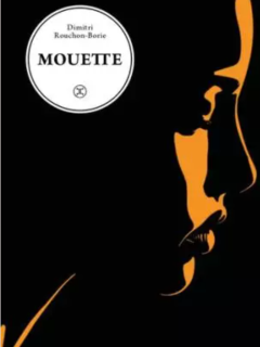 Mouette - Dimitri Rouchon-Borie - critique du roman
